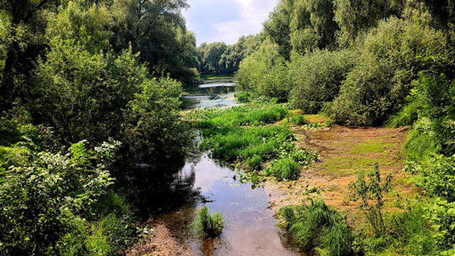 Gold Bank City Beach