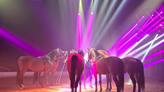 Circus Louis Knie
