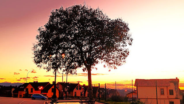 Pistas de Tenis y Padel del Parque del Oeste