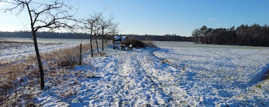 urzeitliches Hünen- / Steingrab "Braakheide" in Lehnstedt