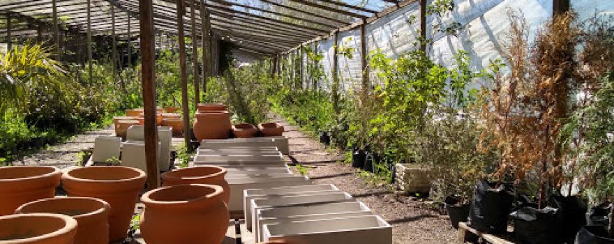 Vivero CANALE