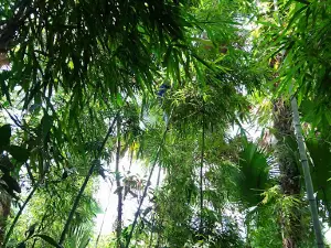 Sân Vận Động Xã Quang Minh