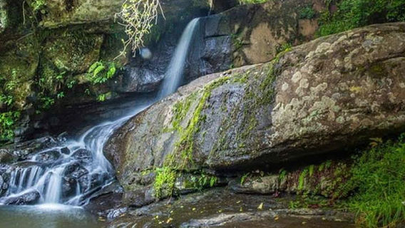 Bear Shola Falls