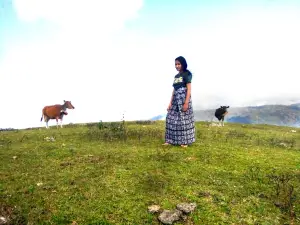 Cagar Alam Sunu