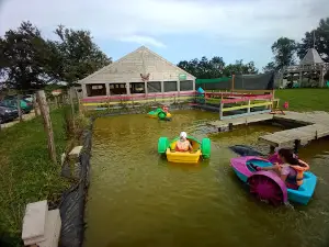 Ferme pédagogique les 2 cocottes