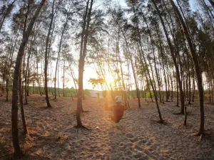 Thottappally Beach Alleppey