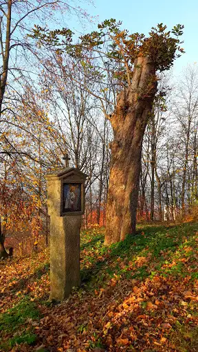 Parkstein