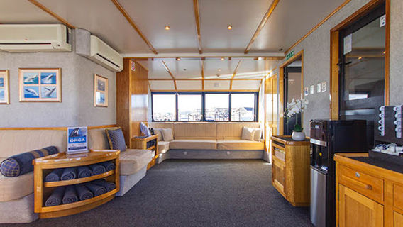 Whale Watch Western Australia - Bremer Bay Orca (Killer Whale) Experience