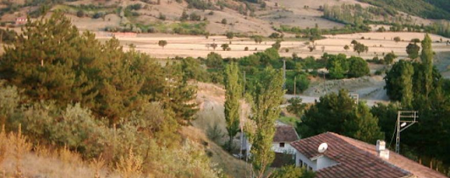 Baştürk Mer. Cami