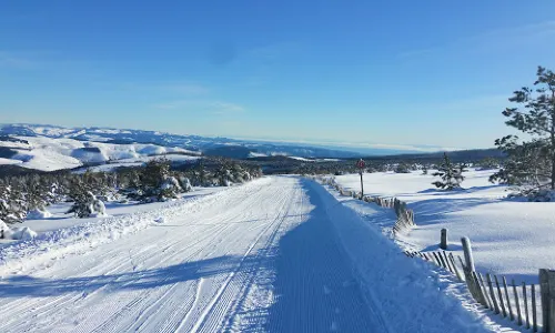 Station Mont Lozère