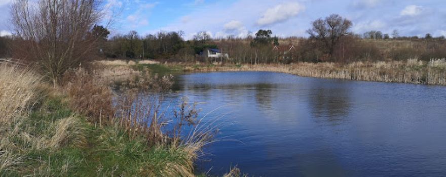 Rectory Wood Park