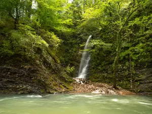 Blaylock Creek Falls