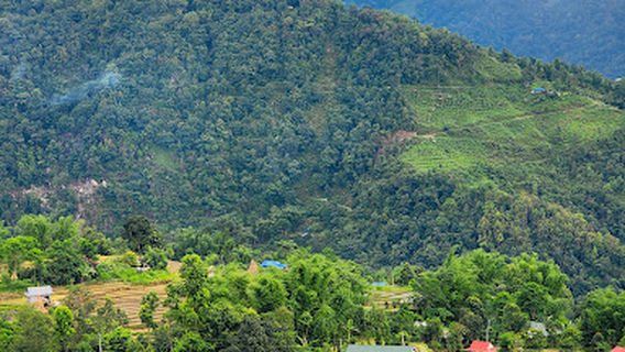 Fekma Lung
