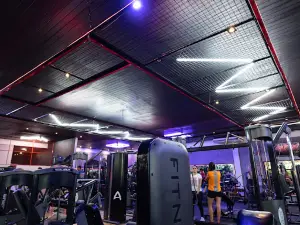 Arena Training