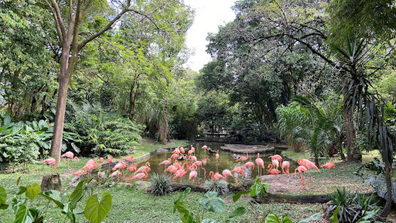 Parque de la Conservación