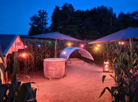 Kronstorfer Maislabyrinth