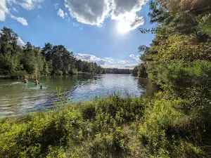 Waldbad Niesendorf