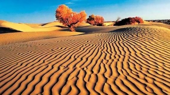 Taklamakan Desert