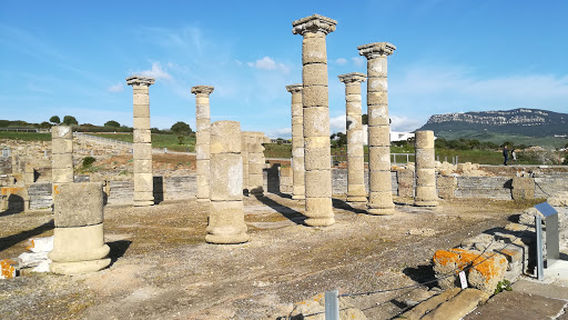 Claudia Baelo Archaeological Museum (Bologna)