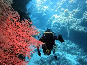 Nirmala Dive Resort Biak & Yacht Club