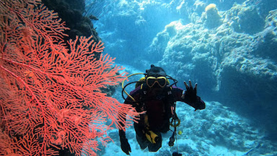 Nirmala Dive Resort Biak & Yacht Club