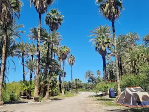Camping y Ecotours Los Petates