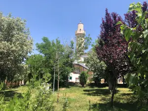 Elyasa Cami