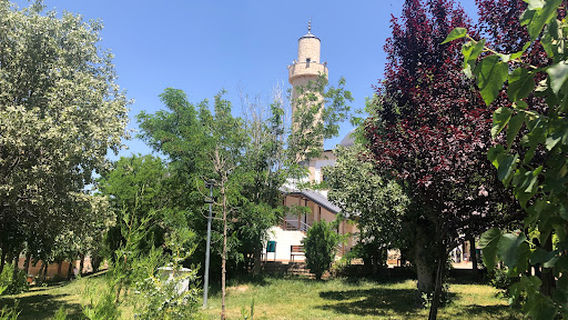 Elyasa Cami