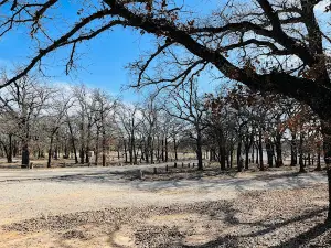 Cartwright Park