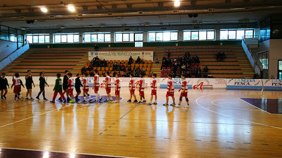 Guido Angelini Stadium