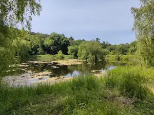 Berezhansʹkyy Dendropark