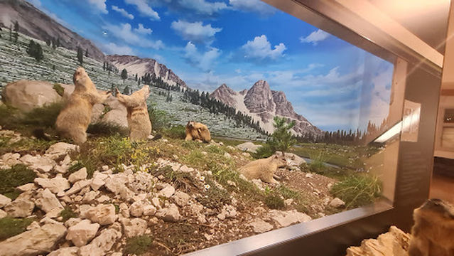 Naturmuseum Südtirol