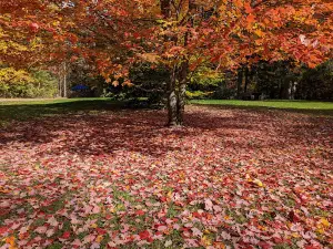 New Discovery State Park