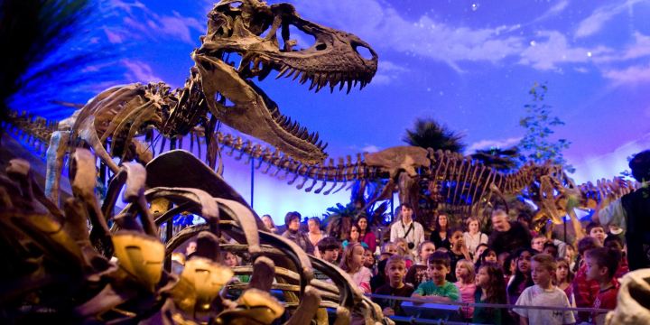 Museo dei bambini di Indianapolis
