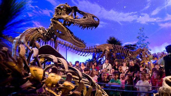 Museo dei bambini di Indianapolis