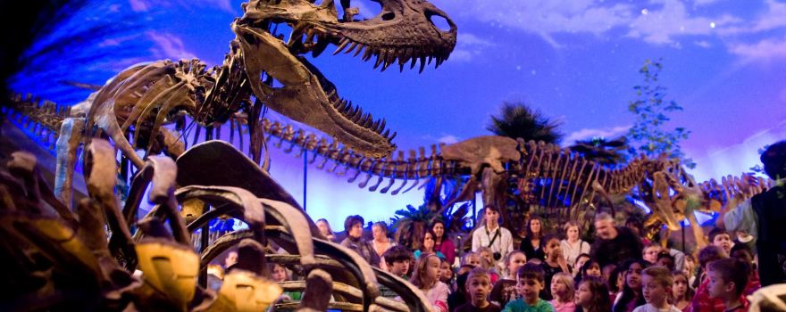 The Children's Museum of Indianapolis