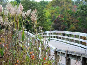 Sunken Meadow State Park