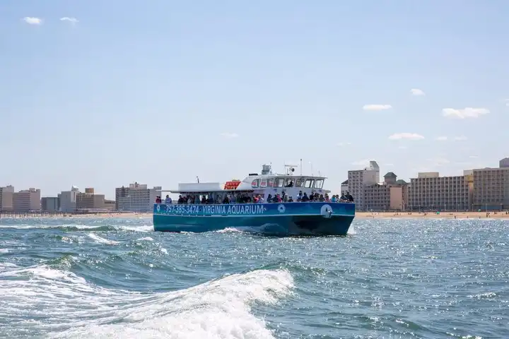Отели рядом с достопримечательностью «Virginia Aquarium & Marine Science Center»