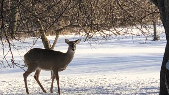For-Mar Nature Preserve & Arboretum