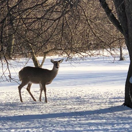 For-Mar Nature Preserve & Arboretum