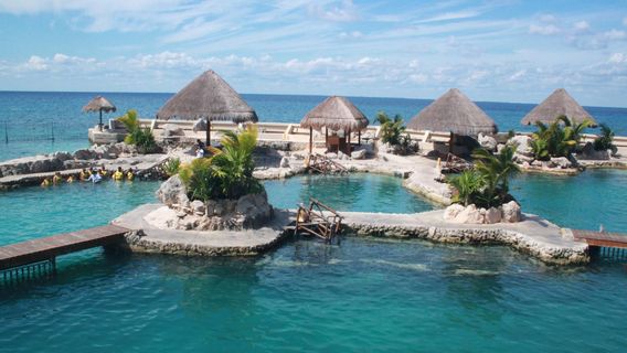 Dolphinaris Cozumel