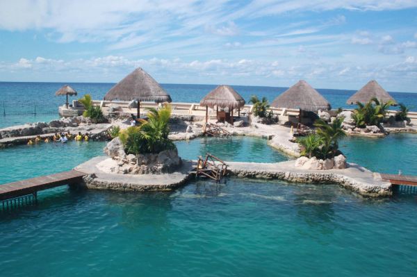 Dolphinaris Cozumel