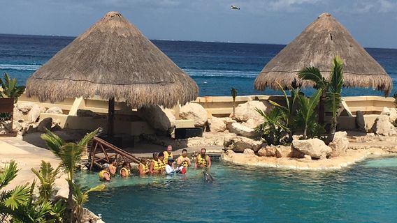 Dolphinaris Cozumel
