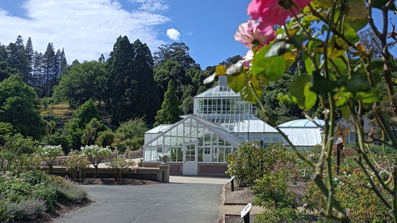 Dunedin Botanic Garden