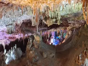 Hams' Caves