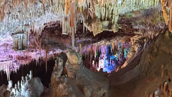 Hams' Caves