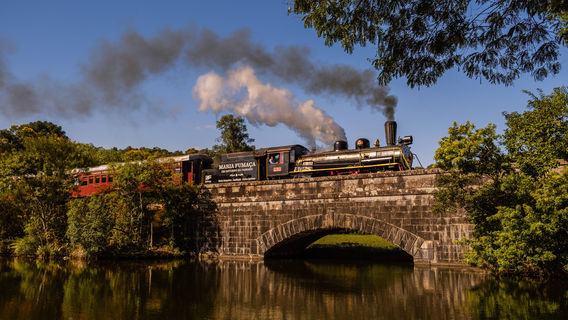 Maria Fumaça (Trem do Vinho)