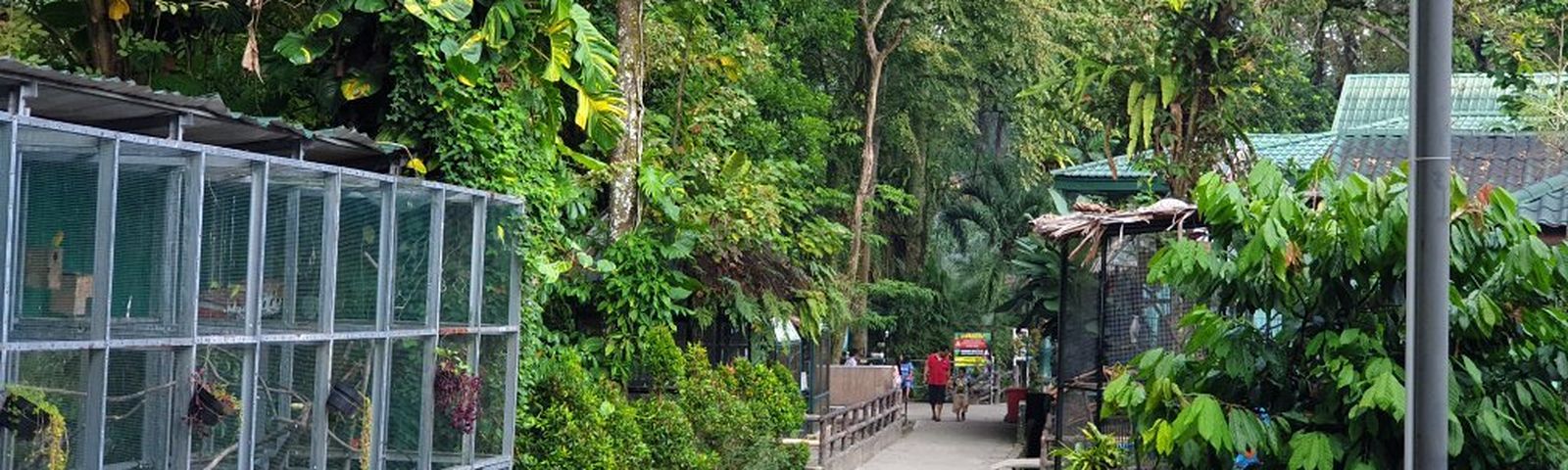 travel