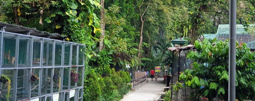 Pematang Siantar