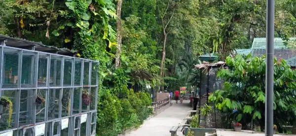 Hotel di Kota Pematang Siantar
